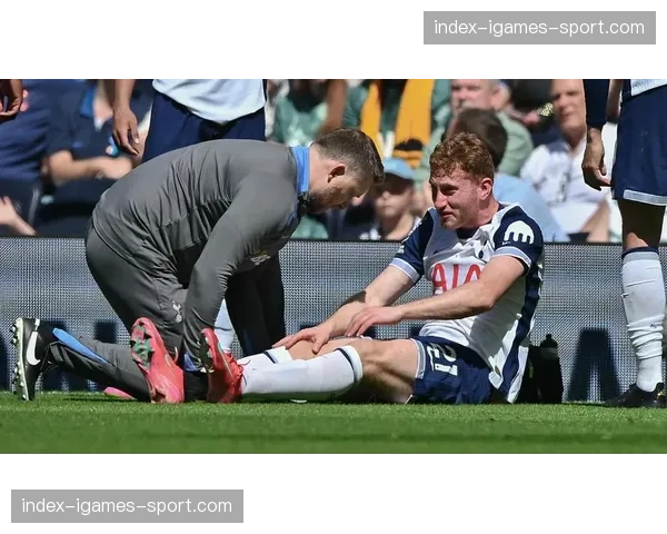 伤病速递：热刺主力后腰比苏马腿筋拉伤，预计缺席球队三月剩余赛事